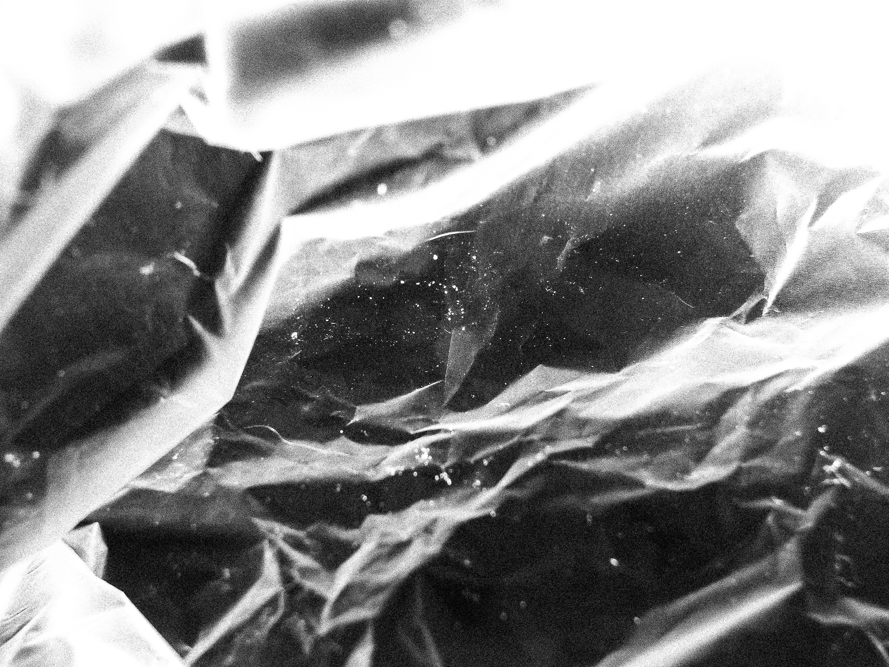 CELLOPHANE-1050580